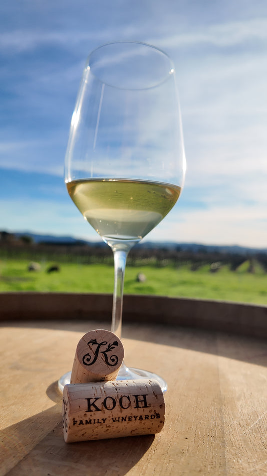 2025 Sauvignon Blanc